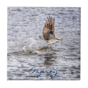 Flying Osprey & Fish HDR Wildlife Photo Gift Tegeltje