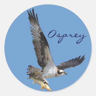 Flying Osprey & Fish Wildlife Photography Ronde Sticker
