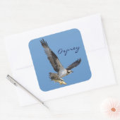 Flying Osprey & Fish Wildlife Photography Vierkante Sticker (Envelop)