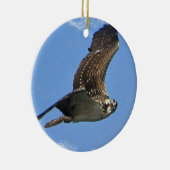 Flying Osprey Ornament (Rechts)