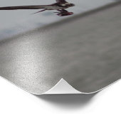 Flying Osprey Photo Foto Afdruk (Hoek)