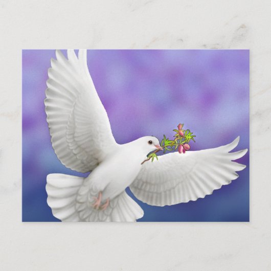 Flying Peace Dove Card Briefkaart (Voorkant)