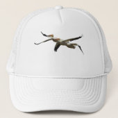 Flying Pelican 2 Casquette (Devant)