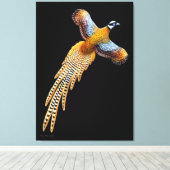 Flying Reeves fazant verpakt canvas Afdruk (Insitu (Houten vloer))