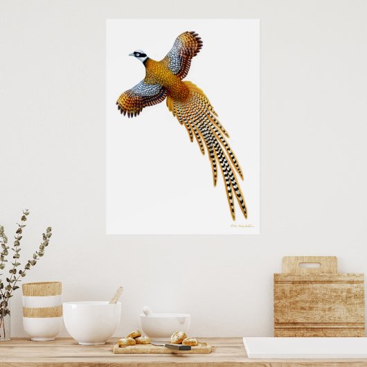 Flying Reeves Pheasant Print (Keuken)