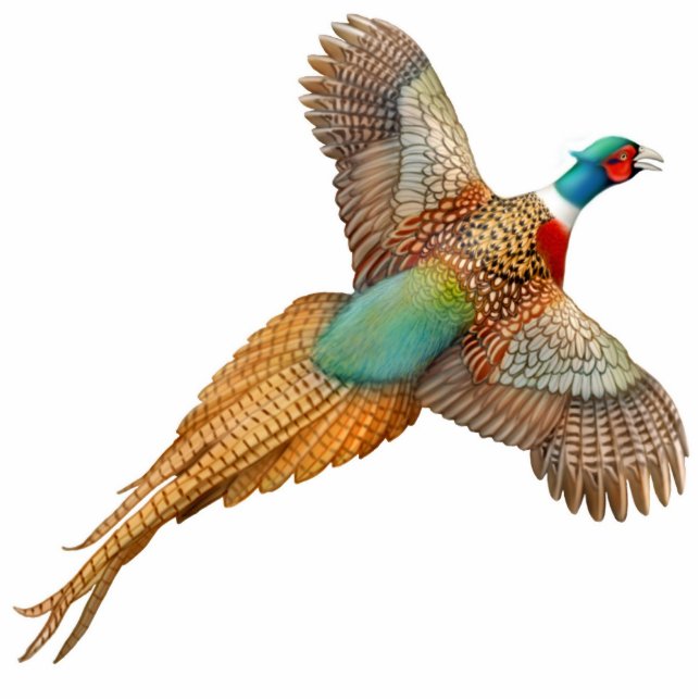 Flying Ringnek Pheasant Ornament Fotobeeldje Ornament (Voorkant)