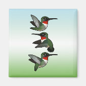 Flying Ruby-throated Hummingbird Magneet (Voorkant)