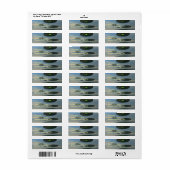 Flying Saucer Fleet Label (Full Sheet)