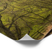 Flying Scotsman in Goathland Poster (Hoek)