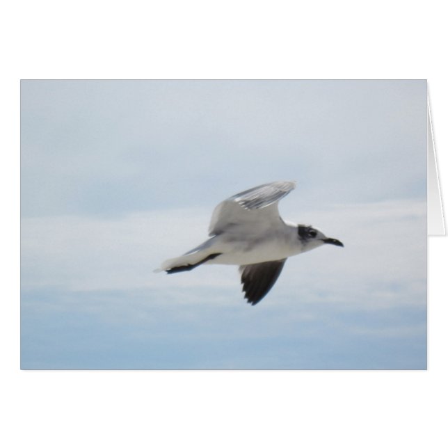 Flying Seagull (Voorkant Horizontaal)