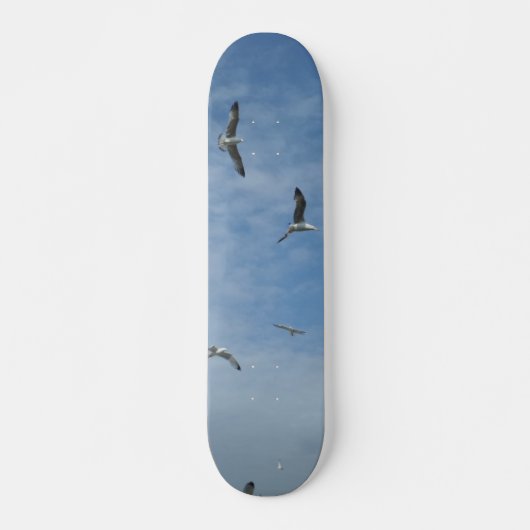Flying Seagulls Skateboard (Devant)