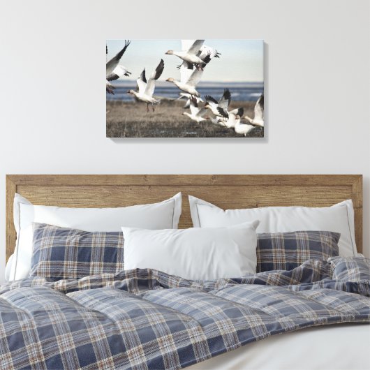 Flying Snow Geese Canvas Afdruk (Insitu (Slaapkamer))