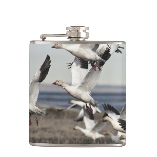 Flying Snow Geese Heupfles (Voorkant)
