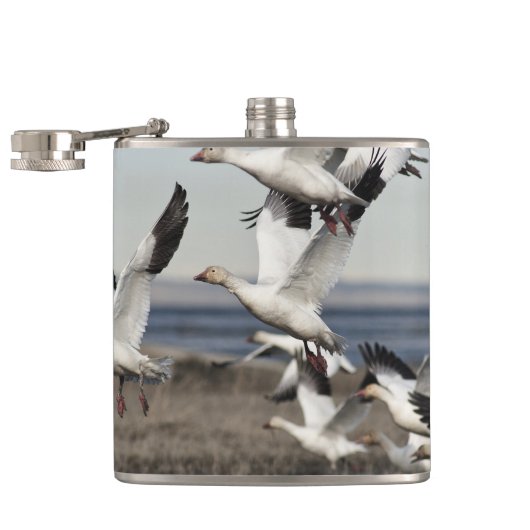 Flying Snow Geese Heupfles (Geopend)