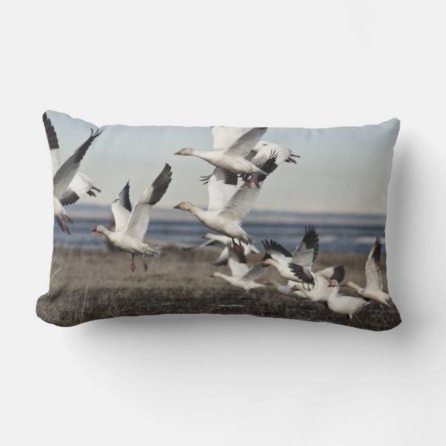 Flying Snow Geese Kussen (Voorkant)