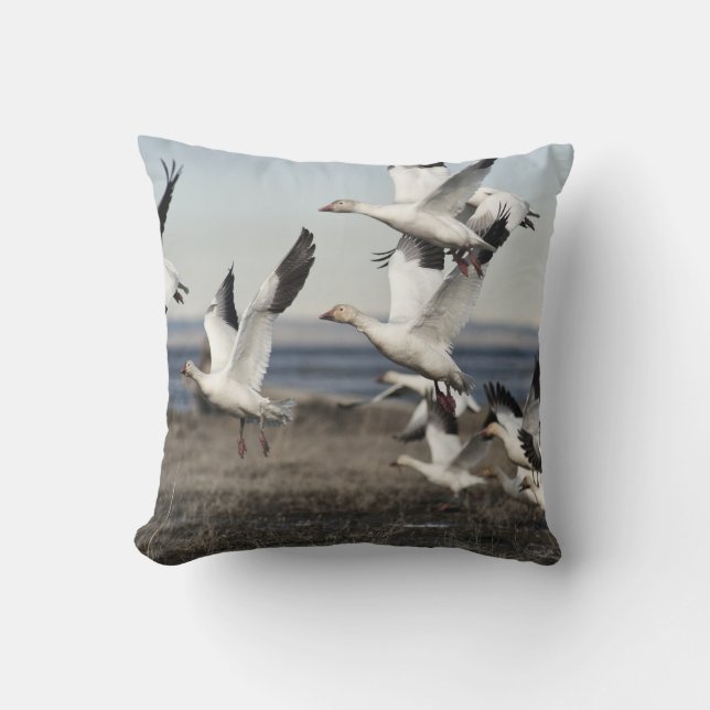 Flying Snow Geese Kussen (Voorkant)