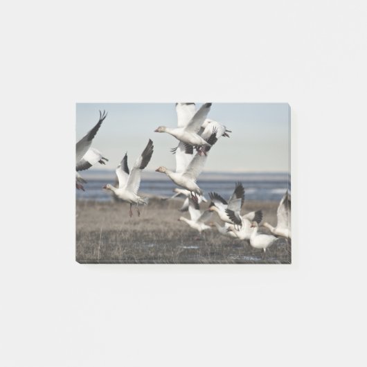 Flying Snow Geese Post-it® Notes (Voorkant)
