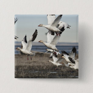 Flying Snow Geese Vierkante Button 5,1 Cm