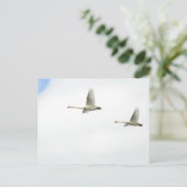 Flying swans briefkaart (Staand voorkant)