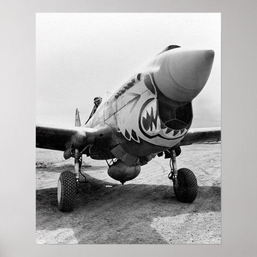 Flying Tigers P-40 Warhawk, 1941. foto Poster (Voorkant)