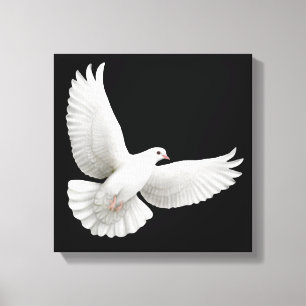 Flying White Dove verpakt Canvas Afdruk