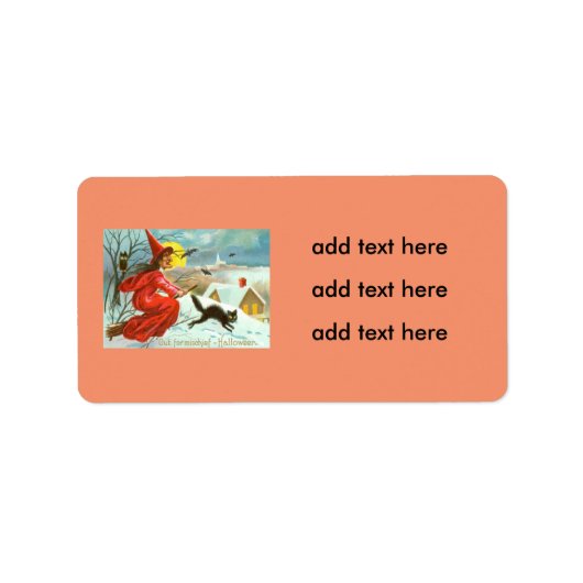 Flying Witch Zwarte Kat Uil Bat Sneeuw Etiket (Voorkant)