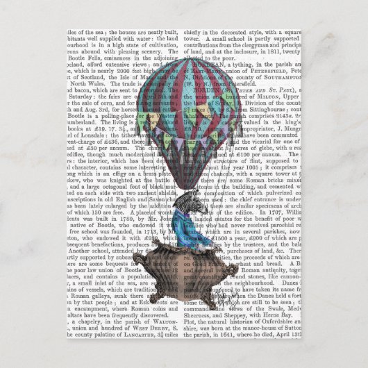 Flying Zebra Briefkaart (Voorkant)