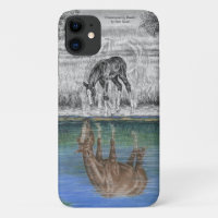 Foaalwaterreflectie van paarden