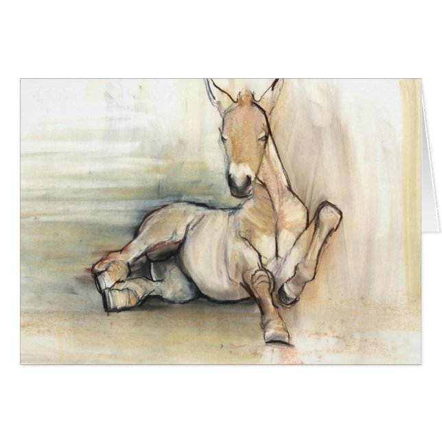 Foal 2012 (Voorkant Horizontaal)