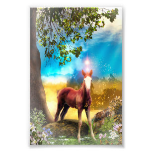 Foal Horse in Paradise Foto Afdruk