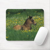 Foal Laying Down in Flowers Muismat (Met muis)
