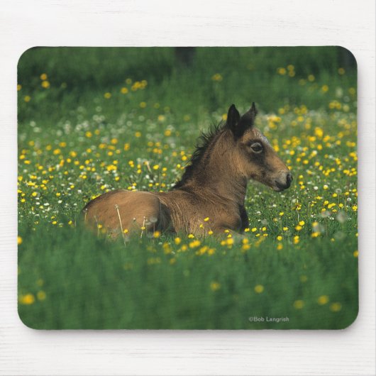 Foal Laying Down in Flowers Muismat (Voorkant)