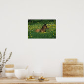 Foal Laying Down in Flowers Poster (Keuken)
