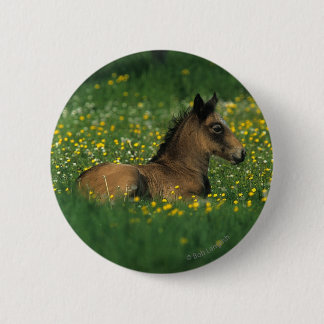 Foal Laying Down in Flowers Ronde Button 5,7 Cm