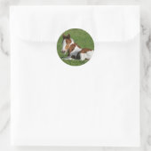 Foal Laying in Grass Ronde Sticker (Tas)