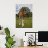 Foal print (Thuiskantoor)