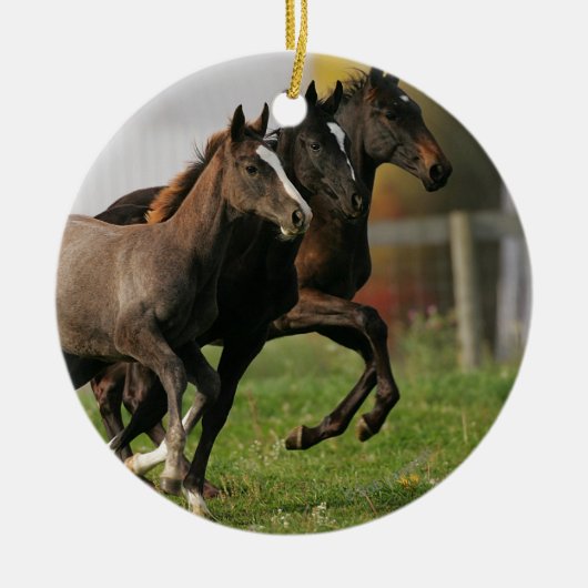 Foal Running Keramisch Ornament (Voorkant)