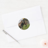 Foal Running Ronde Sticker (Envelop)