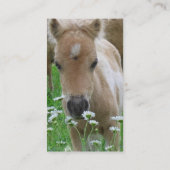 Foal Smelling Daisies op Visitekaartje (Achterkant)