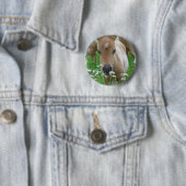 Foal Smelling Daisies Round Button (In situ)