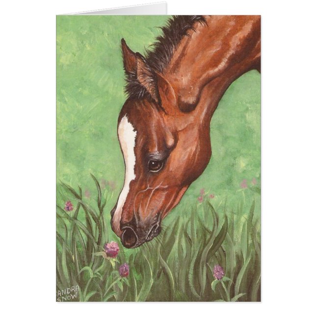 Foal Sniffing Clover (Voorkant)