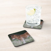 Foal Standing Bier Onderzetter (Rechterzijde)