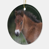 Foal Standing Keramisch Ornament (Links)