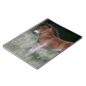 Foal Standing Notitieboek (Linkerzijde)