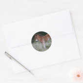 Foal Standing Ronde Sticker (Envelop)