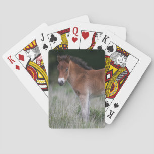 Foal Standing Speelkaarten
