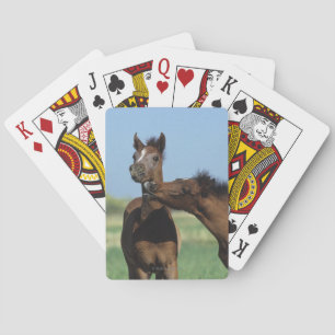 Foalen afspelen 2 pokerkaarten