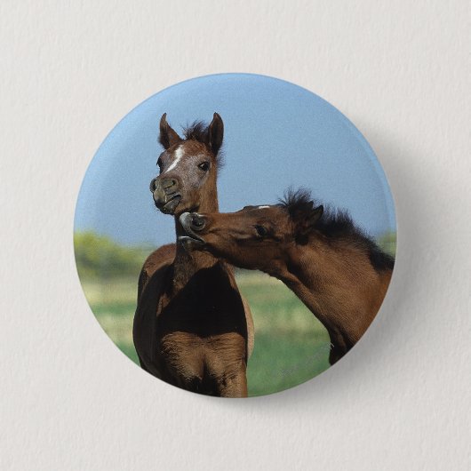 Foalen afspelen 2 ronde button 5,7 cm (Voorkant)