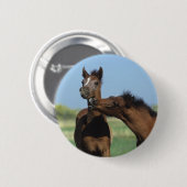 Foalen afspelen 2 ronde button 5,7 cm (Voorkant /achterkant)