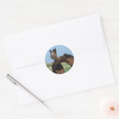 Foalen afspelen 2 ronde sticker (Envelop)